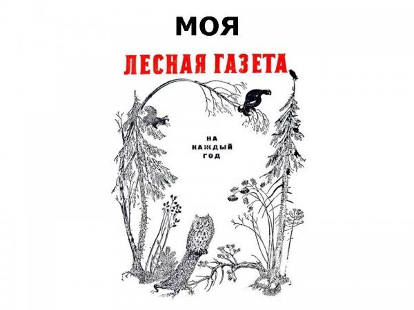 Иллюстрация к рассказу Лесная газета