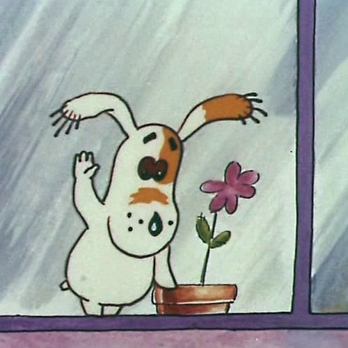 Собачка Соня Андрей Алексеевич усачёв