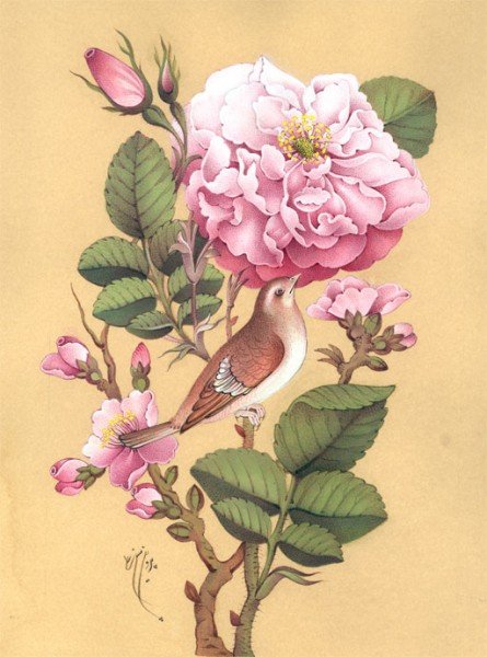 Соловей и роза