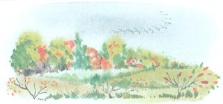 Иллюстрация к стихотворению Бальмонта поспевает брусника