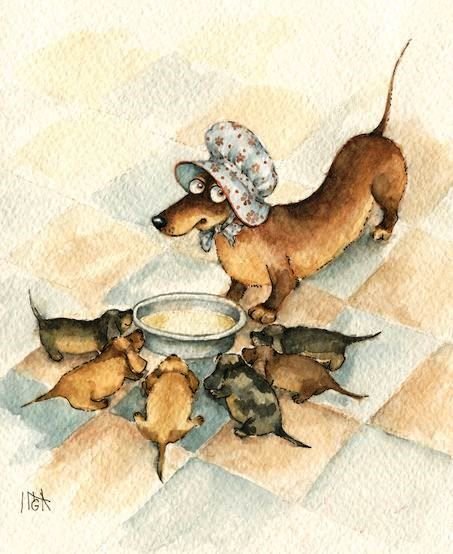 Такса Инга SMG