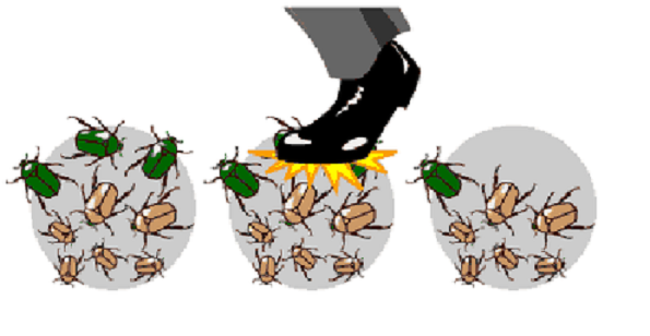 Популяционные волны и дрейф генов