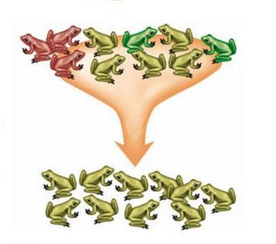 Дрейф генов это в биологии