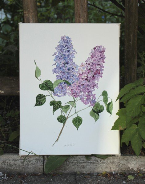 Иллюстрация Рахманинова сирень