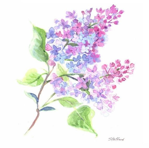 Пуантилизм сирень