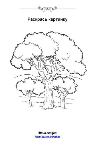 Ушинский спор деревьев иллюстрации (50 фото)