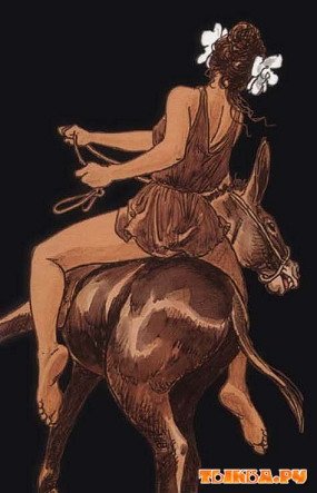 Золотой осел комикс