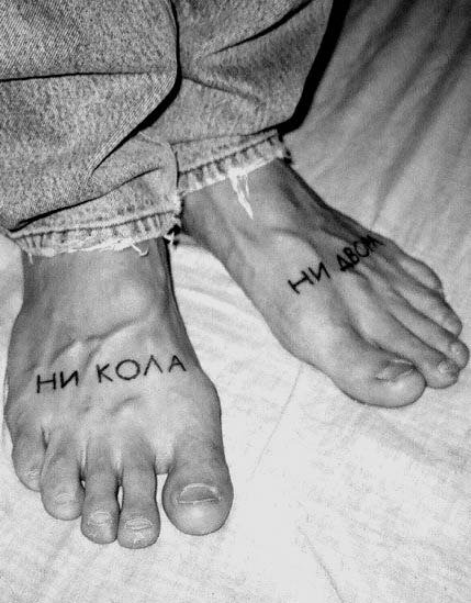 Ни кола ни двора рисунок к фразеологизму