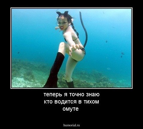 В тихом омуте черти водятся рисунок