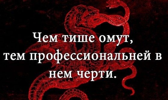 В тихом омуте я вожусь