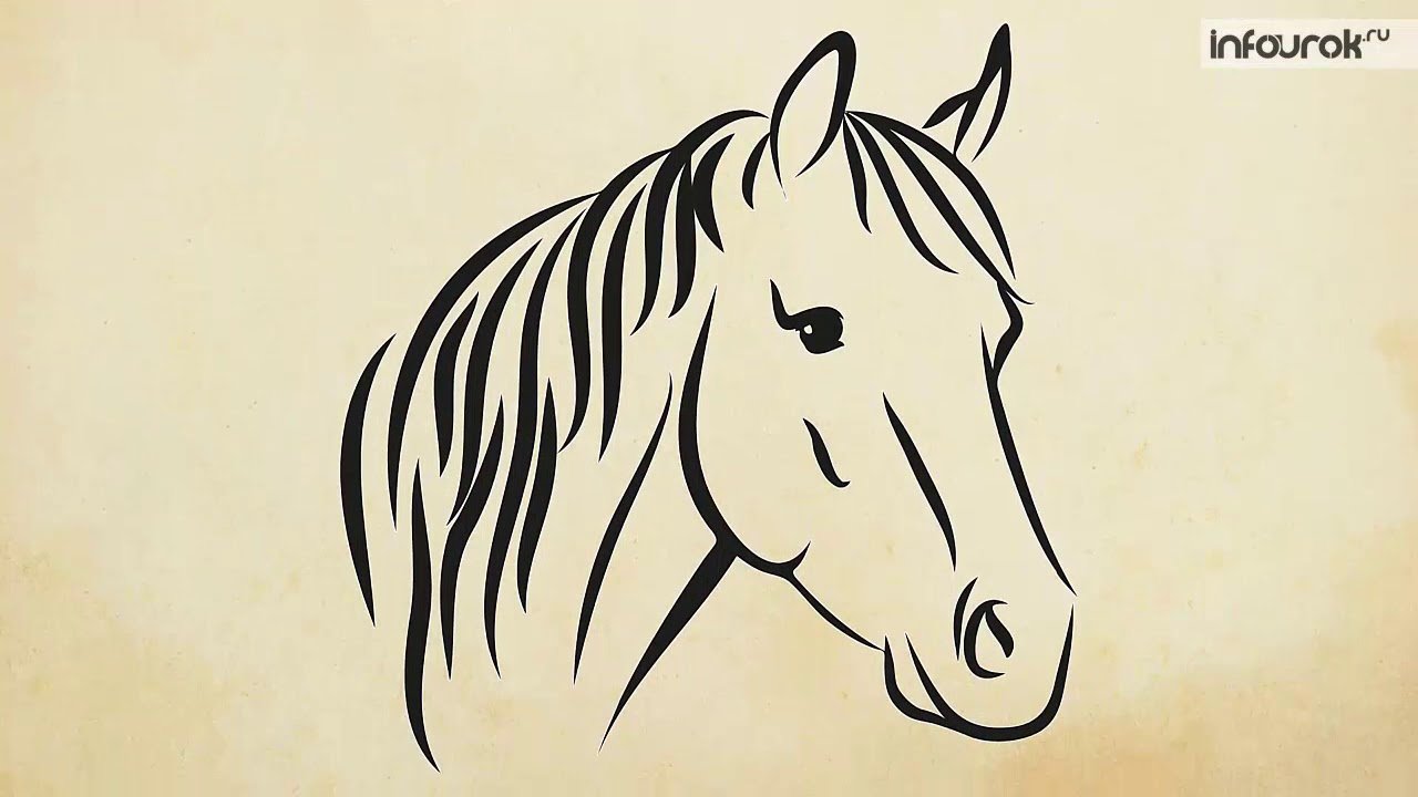 Литература 6 класс хорошее отношение к лошадям. Хорошее отношение к лошадям иллюстрации. Иллюстрация к стихотворению хорошее отношение к лошадям. Рисуеок хорошее отношение к лошадям". Хорошее отношение к лошадям Маяковский иллюстрации.