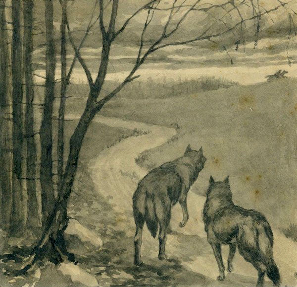 Белеть в тумане