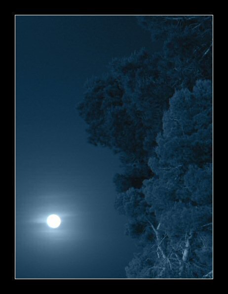 Стихи о зиме русских поэтов