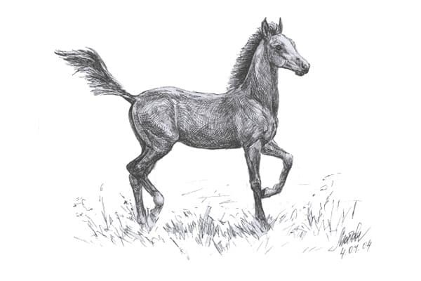 Собака и лошадь басня Крылова