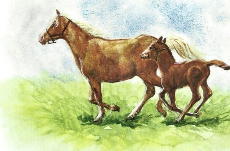 Рисунки к рассказам Абрамова