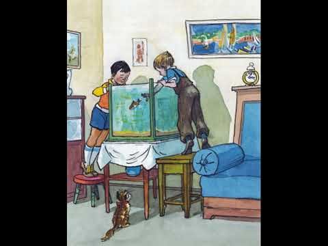 Николай Носов Карасик