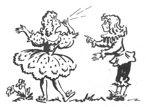 Три толстяка Суок