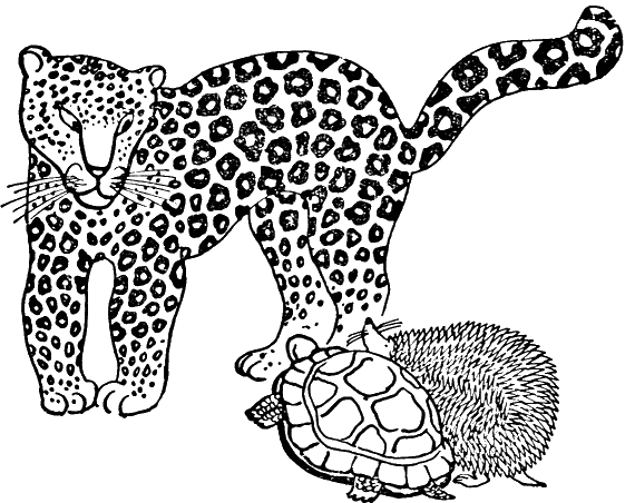 Гиена и черепаха рисунок