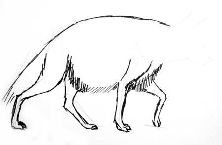 Гиена советские мультфильмы