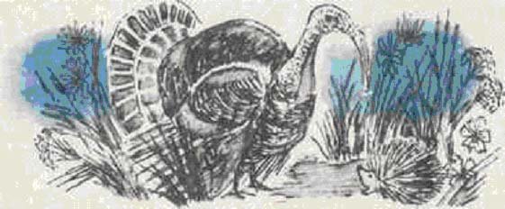 Умнее всех мамин-Сибиряк книга