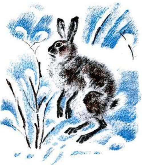 Виталий Бианки Снежная книга