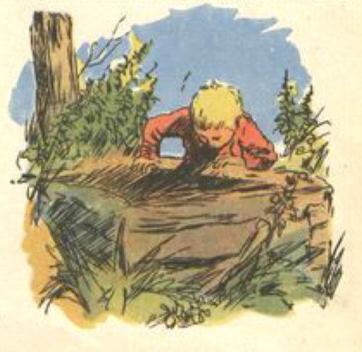 Рассказ Чарушина Воробей