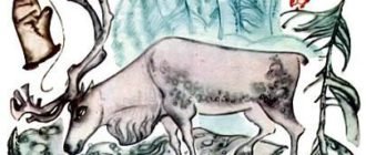 Носкович Нина Алексеевна иллюстрации