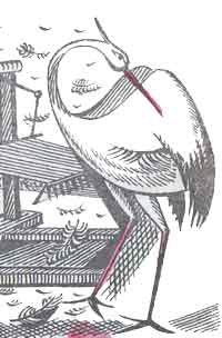 Берестов мастер птица