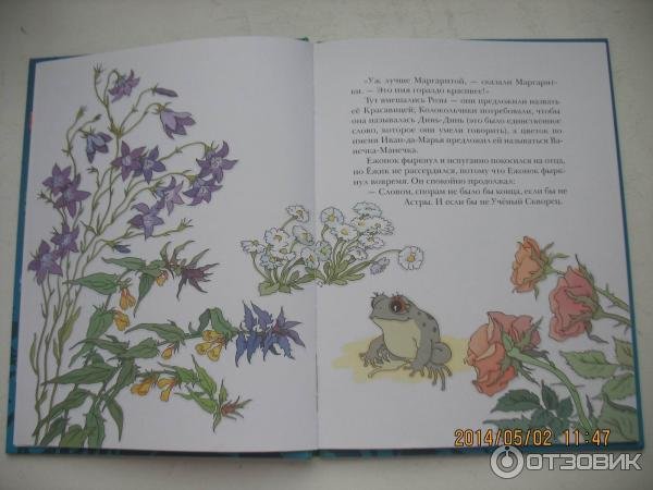 Иллюстрация к сказке серая звездочка (44 фото)