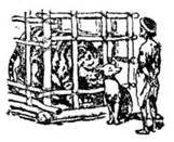 Иллюстрации к Калила и Димна