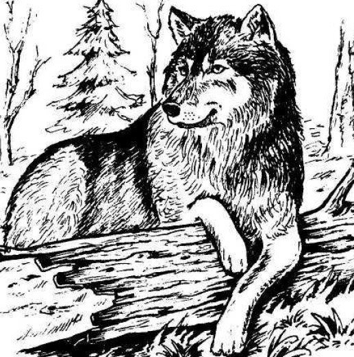 Тигр и лиса таджикская народная сказка