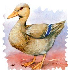 Михаил пришвин изобретатель