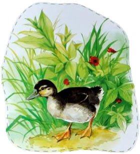 Пришвин изобретатель раскраска