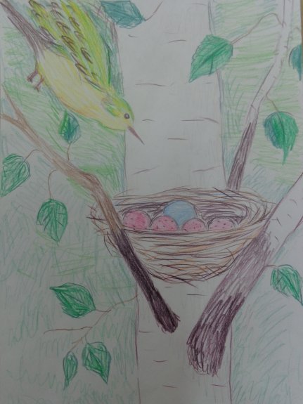 Бианки Подкидыш иллюстрации