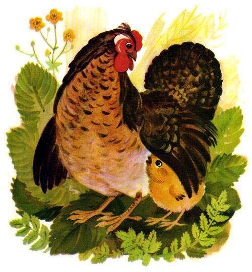 Герои сказки цыпленок Чуковского