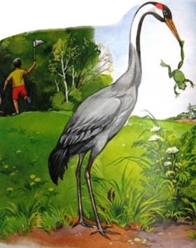 М М пришвин журка