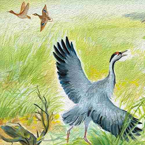 Пришвин журавль