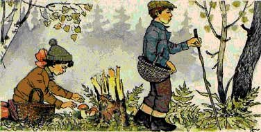 Катаев грибы