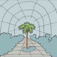 Гаршин Attalea princeps рисунок