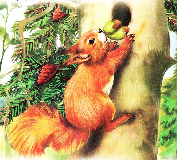 Белка сказка