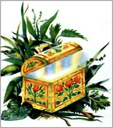 Ларец народной мудрости