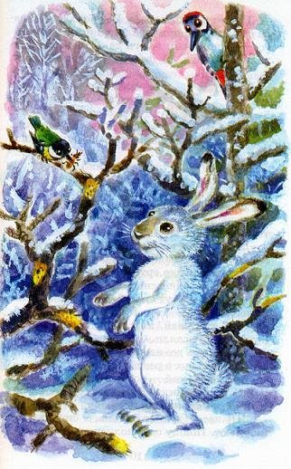 Виталий Бианки заяц куропатка медведь и дед Мороз