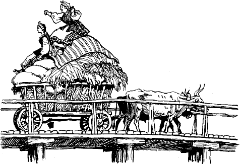 Сорочинская ярмарка черевик