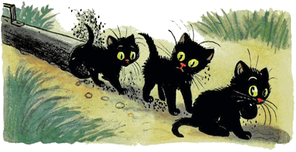 Сказка три кота Сутеев