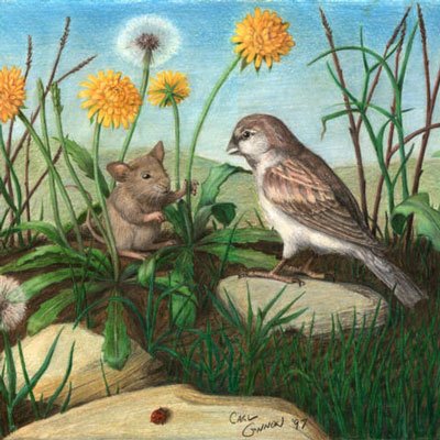 Удмуртская народная сказка мышь и Воробей с иллюстрациями