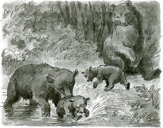 Купание медвежат