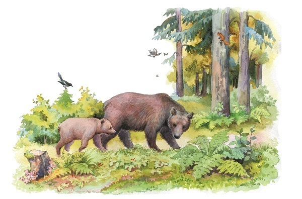 Владимир Бондаренко: пять веселых медвежат