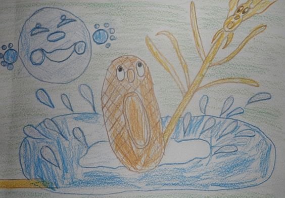 Рус нар сказка пузырь, соломинка и лапоть