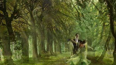 Вальс Венского леса