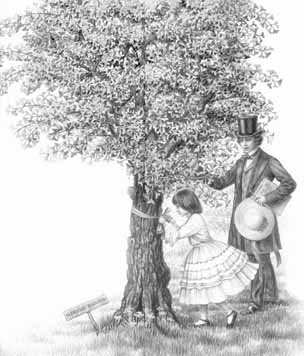 Сказки Венского леса рисунок